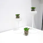 Apartamento Wonderful In